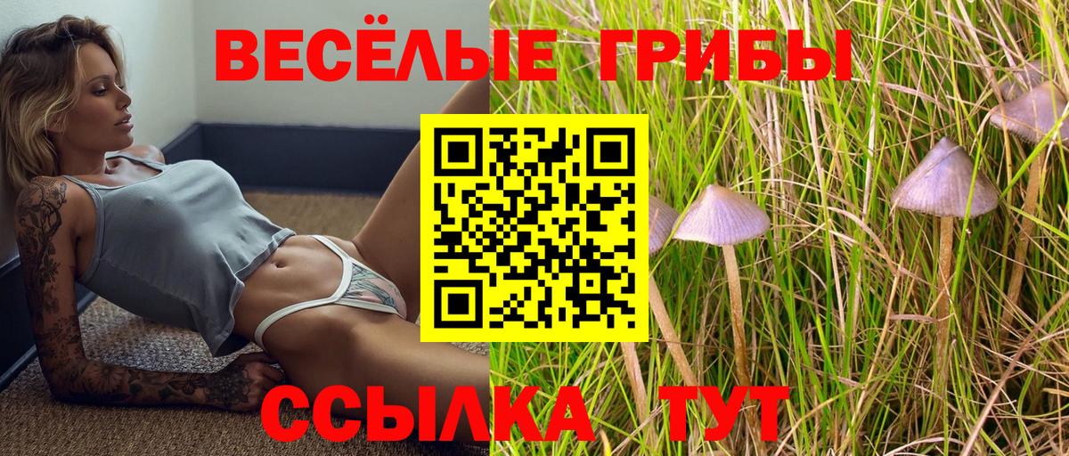 Галлюциногенные грибы MAGIC MUSHROOMS  дарнет шоп  Чехов  Вход с VPN  Псилоцибиновые грибы ЛСД 